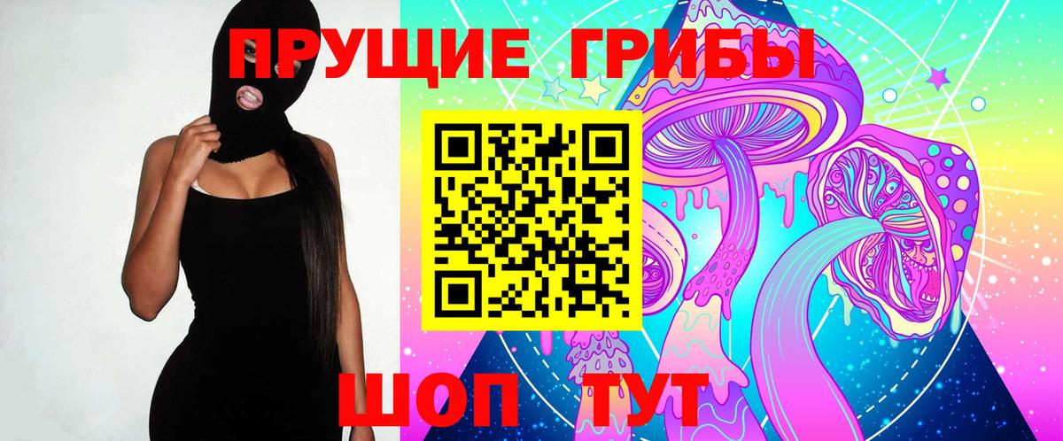 Псилоцибиновые грибы MAGIC MUSHROOMS  Вход с VPN  Камышин 